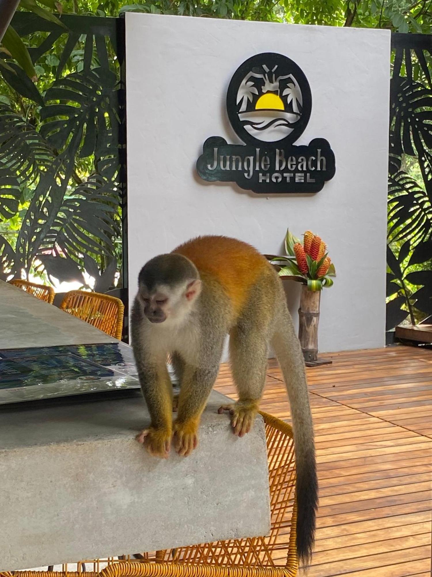 Jungle Beach Hotel Manuel Antonio Exterior foto